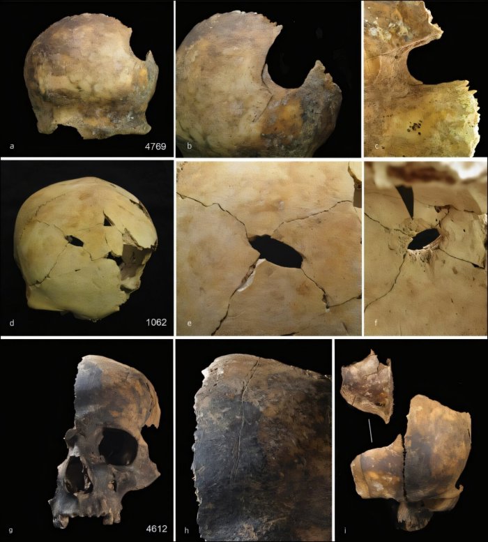 Mystery Of Charterhouse Warren's Early Bronze Age Site Solved By Scientists