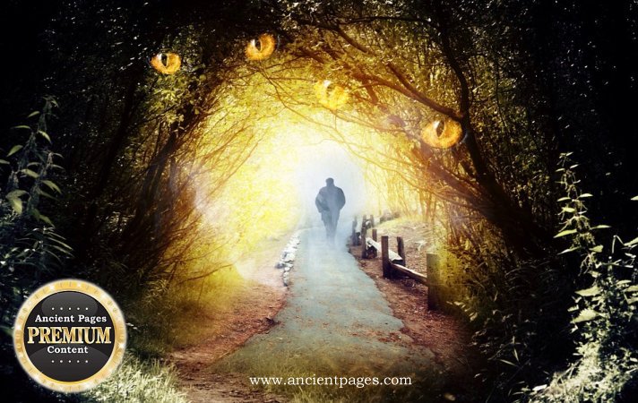Årsgång - Year Walk In The Forest - Mystical Journey To Gain Knowledge About The Future - An Ancient Swedish Ritual