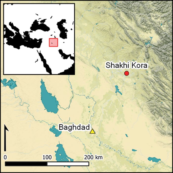 Artifacts From Shakhi Kora Reveal The Rejection Of Early Centralized Governance In Ancient Mesopotamia