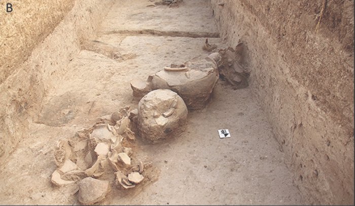 Artifacts From Shakhi Kora Reveal The Rejection Of Early Centralized Governance In Ancient Mesopotamia