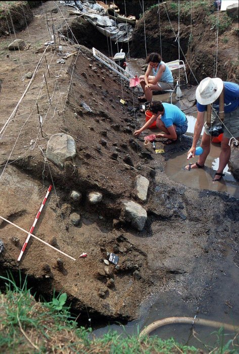 Archaeological Finds Shed New Light On The Paleo Diet Habits Of Ancient Hunter-Gatherers