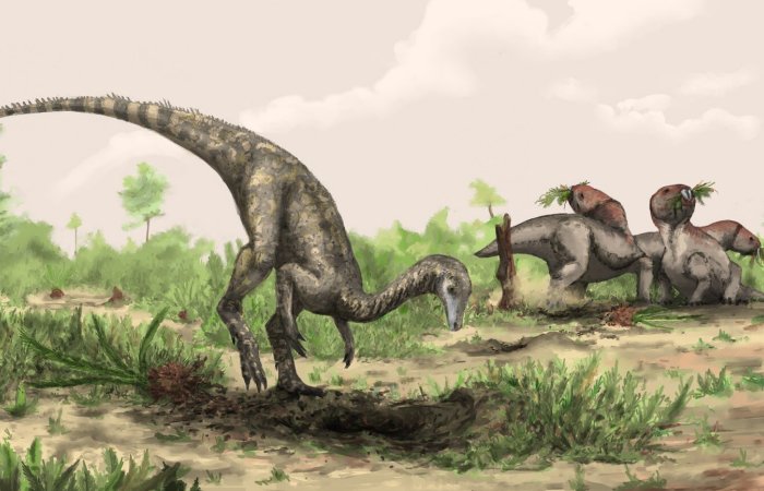 Mystery Of The First Dinosaurs Deepens - Is The Supercontinent Gondwana The Answer?