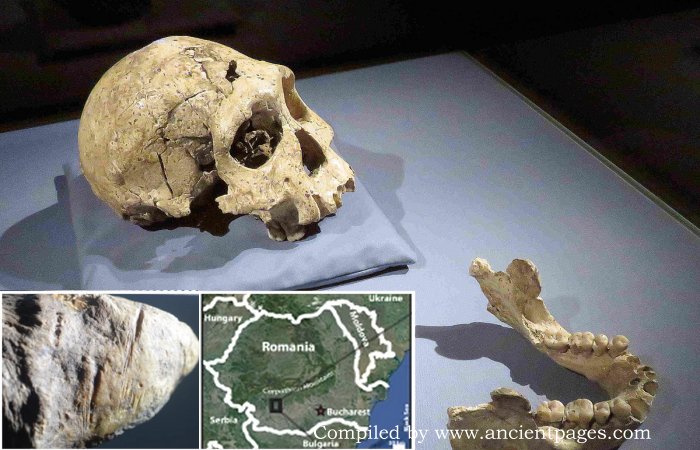 Evidence Hominins Were Present In Europe Far Earlier Than Previously Thought