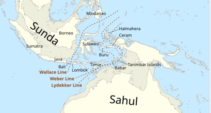 First Genomic Evidence Of Early Migration From New Guinea Into The Wallacea Archipelago - New Study