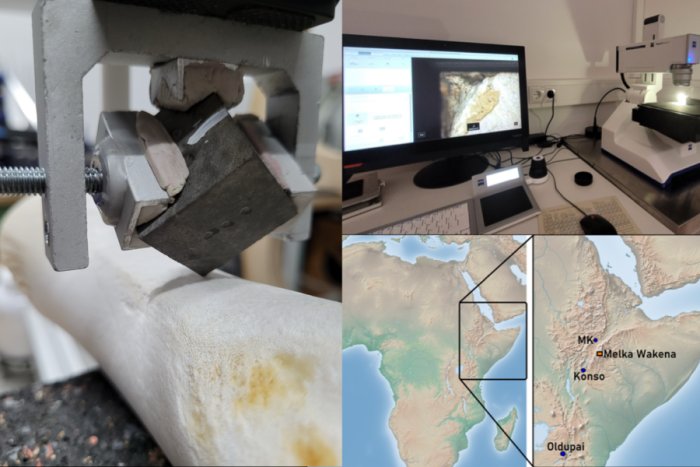Acheulian Culture Of Ethiopian Highlands And Their Prehistoric Tool Selection To Make Society's Life Easier
