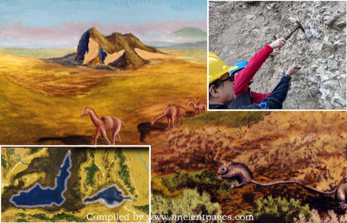 Evidence Of The Zanclean Megaflood In The Mediterranean Sea 5 Million Years Ago