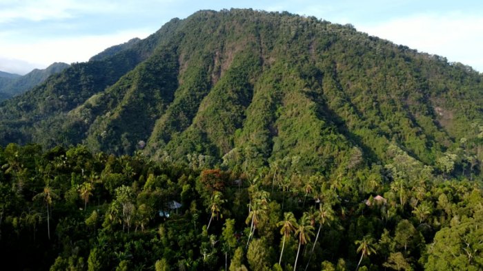 Humans Lived In Rainforests At Least 150,000 Years Ago In Africa