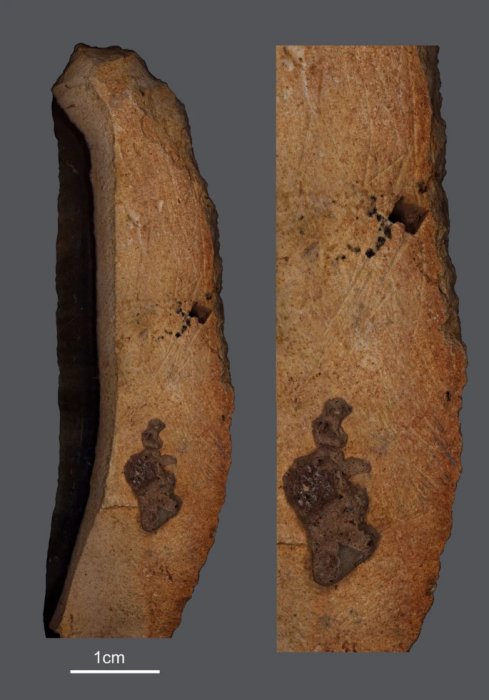 Ancient Artifacts With Carved Geometric Patterns Demonstrate Advanced Cognitive And Symbolic Behavior Among Early Humans