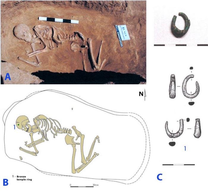 Ancient DNA Reveals Missing Link In The History Of Indo-European Languages