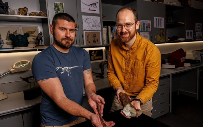World's Oldest Carcharodontosaur Fossils In Australia Rewrite Dinosaur Evolution