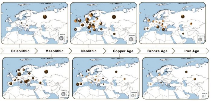 Ancient DNA Reveals How European Skin, Eye, And Hair Color Evolved Over The Past 45,000 Years