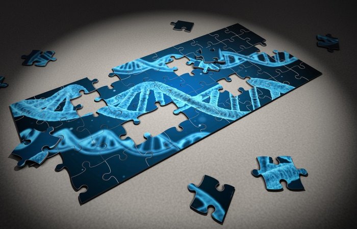 Missing Piece Of A Linguistic Puzzle: Ancient DNA Identifies The Originators Of Indo-European Languages Spoken By 40% Of The World