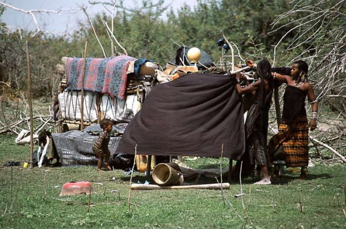 Fulani: Africa’s Pastoralists Traced To Green Sahara Period,12,000–5,000 Years Ago