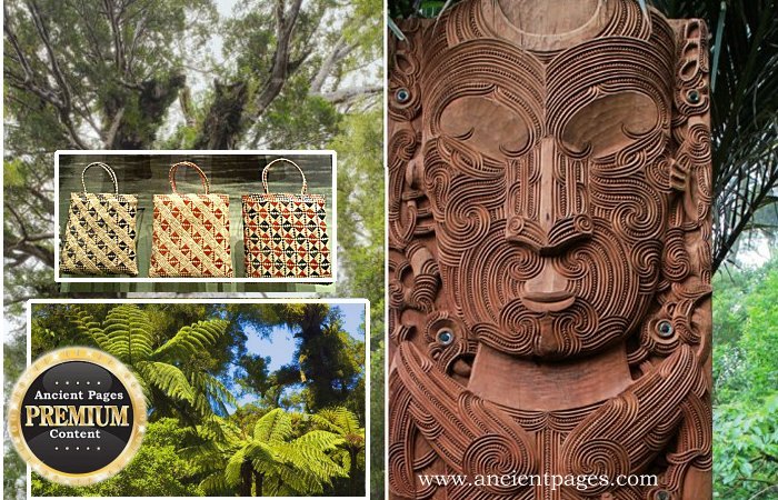 Tāne: Lord Of The Forest Who Brought Three Baskets Of Knowledge To People In Maori Mythology