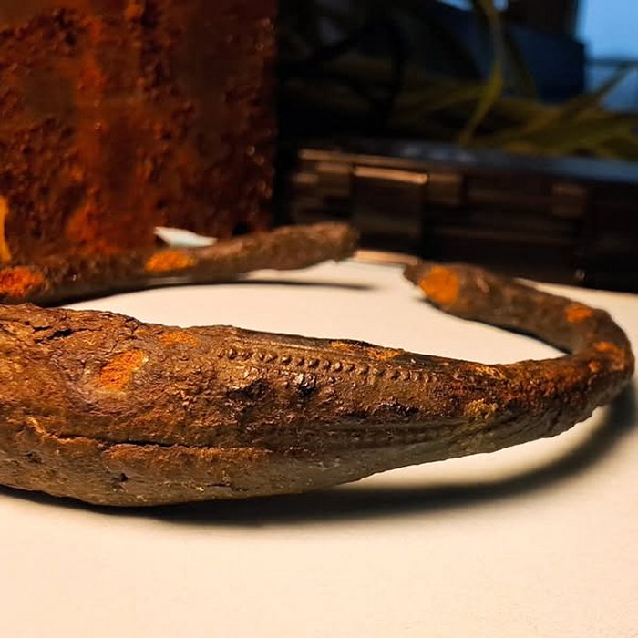 Unique Viking Age Arm Ring Found On Öland And Stunning 2,000-Year-Old Gold Necklace Discovered In Trollhättan, Sweden