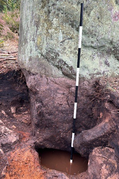 3,700-Year-Old Ceremonial Stone Circle Found In Derbyshire Forest Is Part Of A Larger Prehistoric Complex