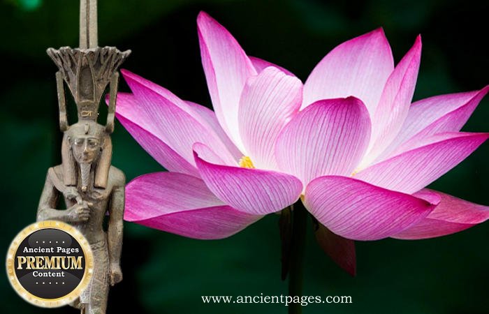 Nefertum - God Of Lotus Blossom, Perfumes, Aromatherapy, Beauty In Egyptian Mythology