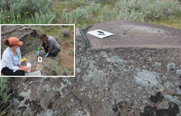 Ancient Stone Kitchens And Unlocking A Treasure Trove Of Culinary Secrets