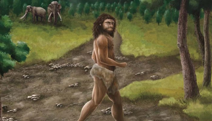Rare Ancient Jawbone Of A Denisovan Who Lived 200,000 Years Ago Discovered In Taiwan