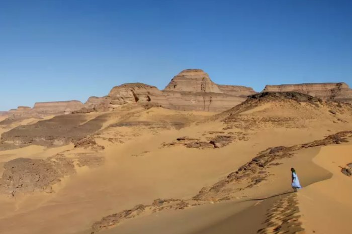 Ancient DNA From The Green Sahara Reveals North African Lineage – Study