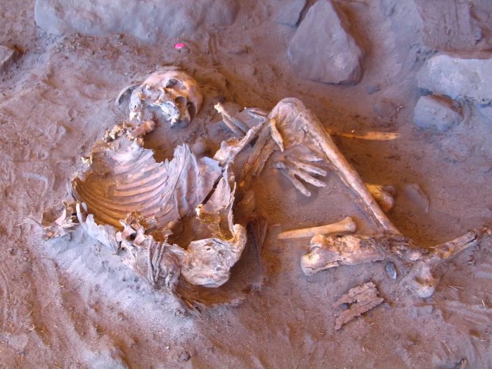 Ancient DNA From The Green Sahara Reveals North African Lineage – Study