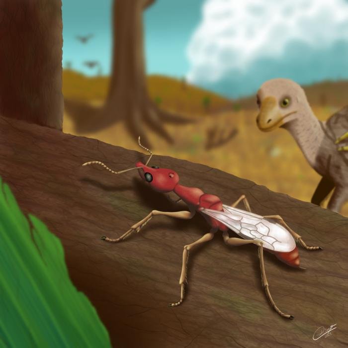 The Oldest Ant Ever Discovered Found Fossilized In Brazil