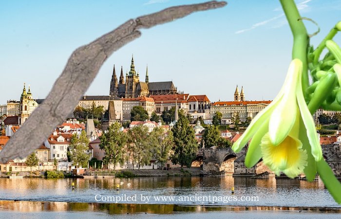 Unexpected Discovery Of Europe's Oldest Vanilla Pod In Prague Castle - Was It Used For Alchemical Experiments?