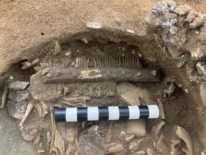 Mystery Of The Byzantine Bromeswell Bucket Found At Sutton Hoo Solved
