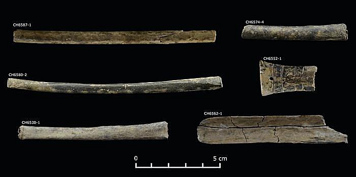 Chavín Phenomenon: Ancient Andean Society Used Hallucinogens To Reinforce Social Order And Leadership