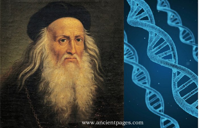 Genetic Testing To Trace The Bloodline Of Leonardo da Vinci