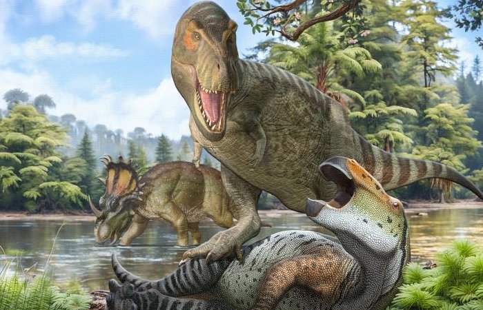 T. Rex's Direct Ancestor Crossed The Bering Strait From Asia To North America 70 Million Years Ago