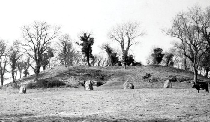 New Study Questions 'Incestuous Royalty' In Neolithic Ireland