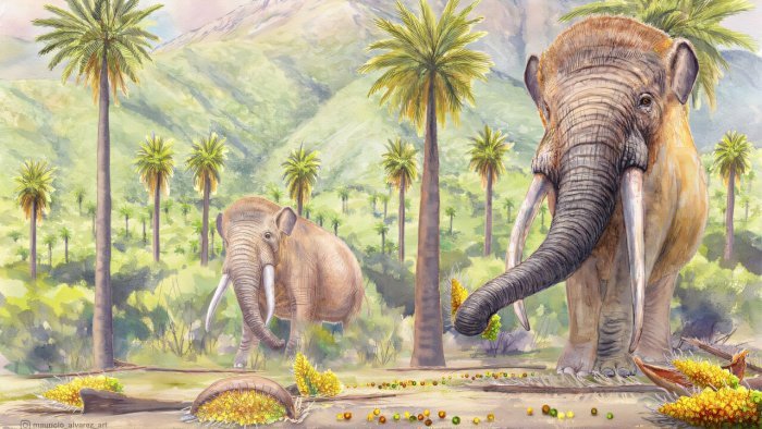 Disappearance Of Mastodons Still Threatens South America’s Native Forests