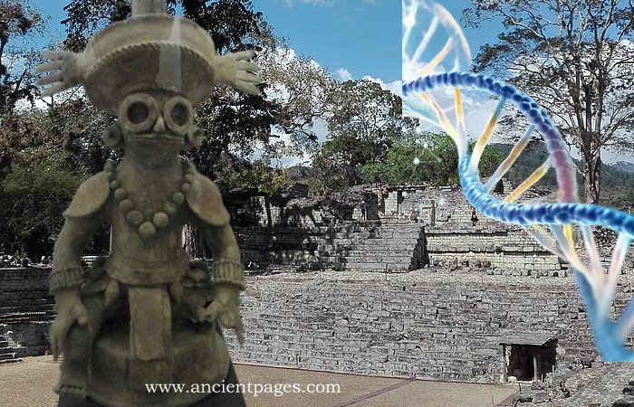 What Can Ancient DNA From Copán Reveal About The Maya Collapse?
