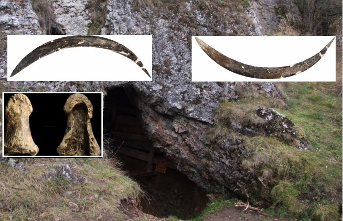 Paleolithic Mammoth Tusk Boomerang Found In The Oblazowa Cave Is Older Than Expected