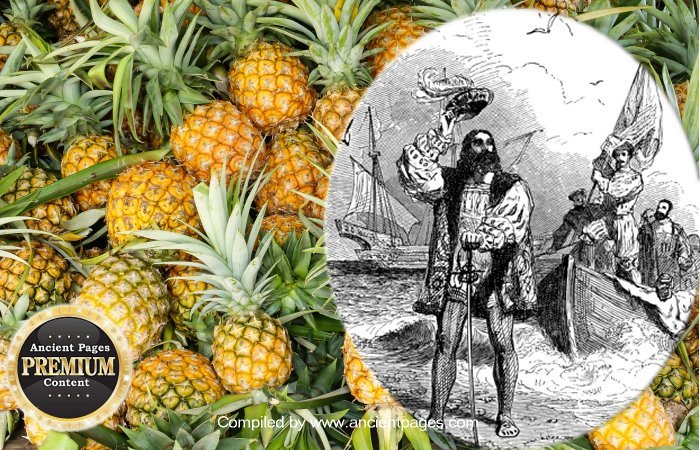 Why Was The Pineapple A Status Symbol Once?