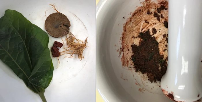 4, 000-Year-Old Teeth Show The Earliest Evidence Of Chewing Psychoactive Betel Nuts