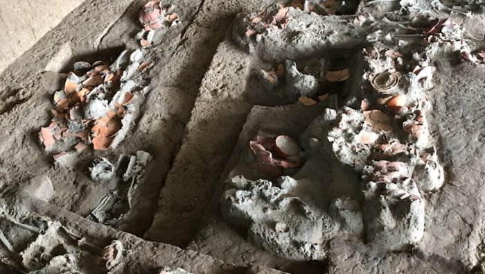 4, 000-Year-Old Teeth Show The Earliest Evidence Of Chewing Psychoactive Betel Nuts