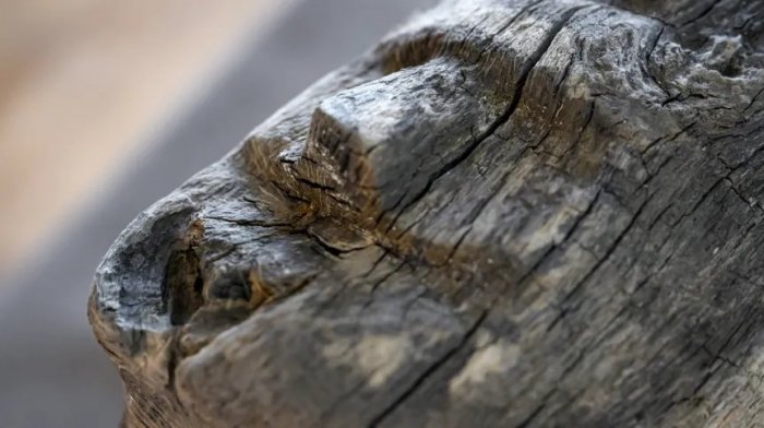 Underwater Secrets Of Lake Lednica And The Unique Wooden Face
