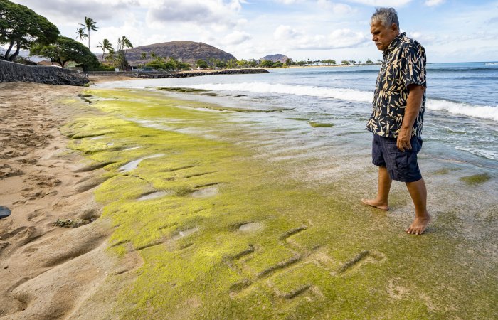 Hawaiian Petroglyphs Reemerging On Oahu's Coast Are Considered An Ancestral Message About Rising Ocean Levels