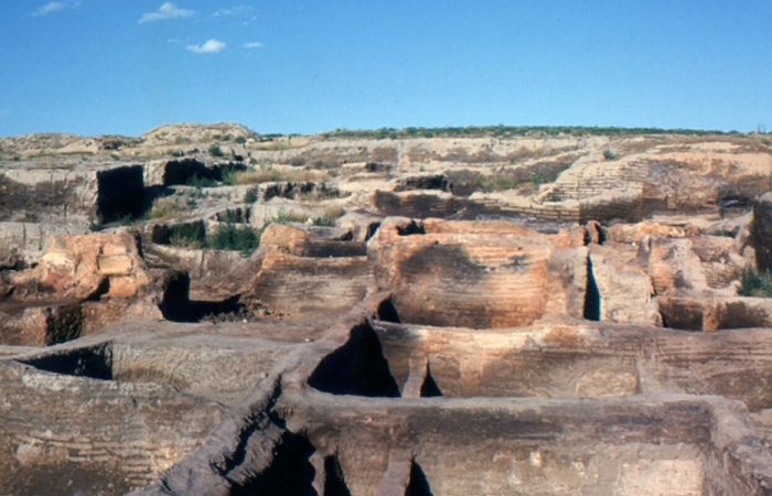 Ancient DNA Reveals That Female Lineages Dominated Neolithic City Of Çatalhöyük, Turkey