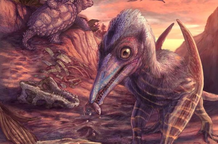 North America’s Oldest Known Pterosaur - Discovered