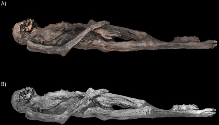Ice Mummies Of Siberia Had Complex Tattoos On Their Bodies