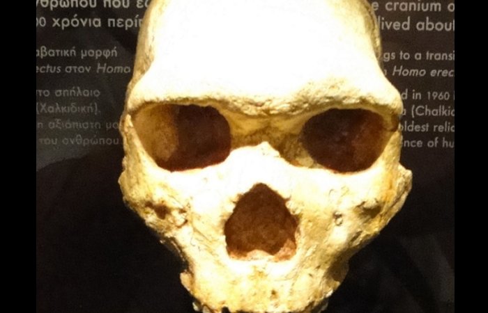 Enigma Of Skull From Petralona Cave In Greece Is Solved And Changes The Human Evolution's History