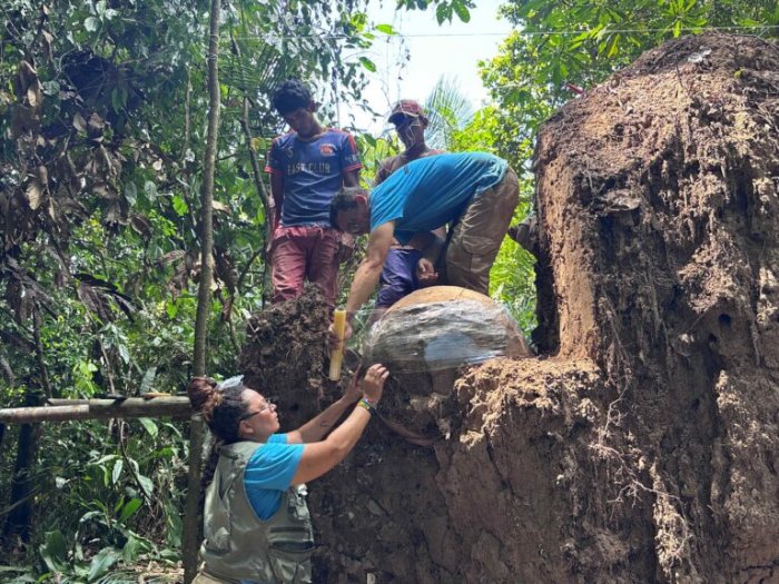 Giant Thousand-Year-Old Urns Discovered In The Amazon City Of Fonte Boa
