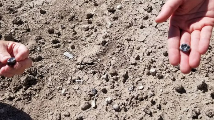 Fossils Suggesting New Species Of Ancient Humans - New Discovery