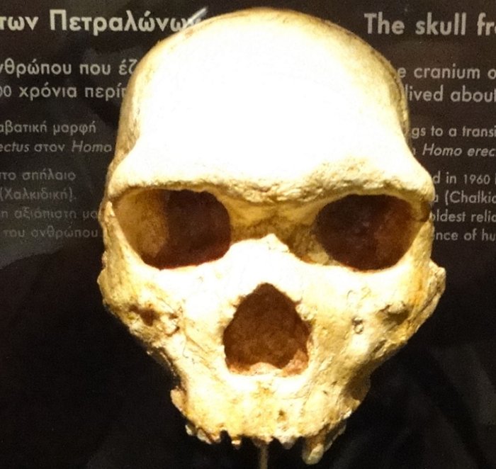 Enigma Of Skull From Petralona Cave In Greece Is Solved And Changes The Human Evolution's History