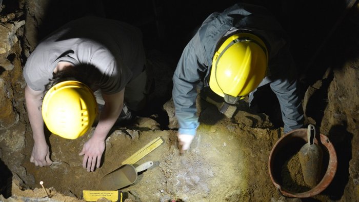 Excavations At Trou Al'Wesse Reveal Traces Of The First Homo Sapiens In Northwestern Europe Around 40,000 Years Ago