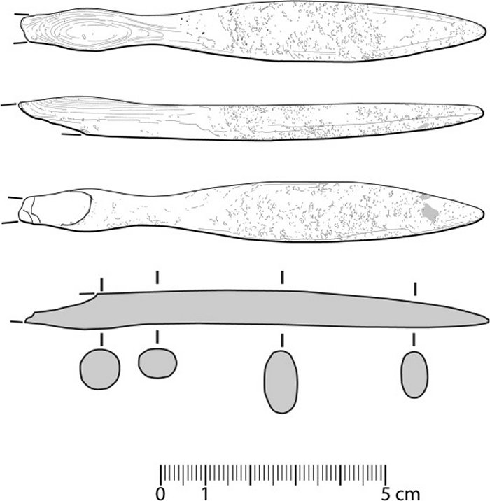 Oldest Hippopotamus Ivory Object Found In The Iberian Peninsula