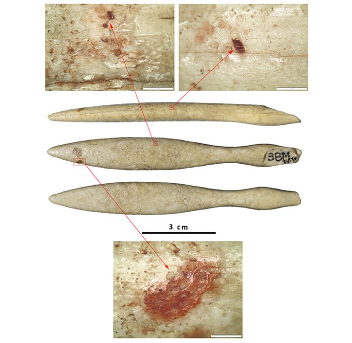 Oldest Hippopotamus Ivory Object Found In The Iberian Peninsula